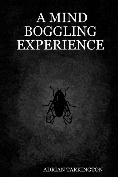 A MIND BOGGLING EXPERIENCE