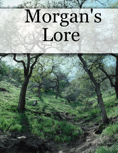 Morgan's Lore
