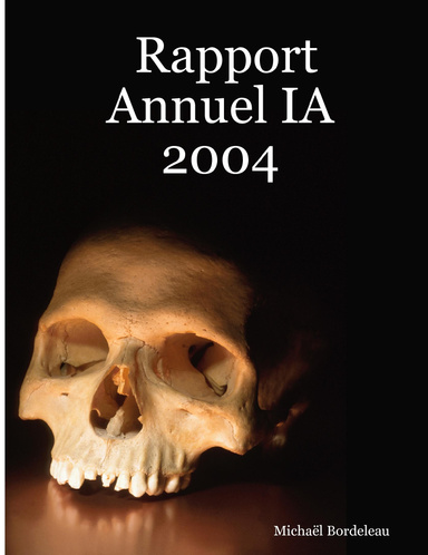 Rapport Annuel IA 2004