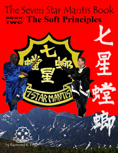 The Seven Star Mantis Book: Soft Principles