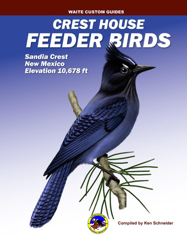 Sandia Crest House Feeder Birds