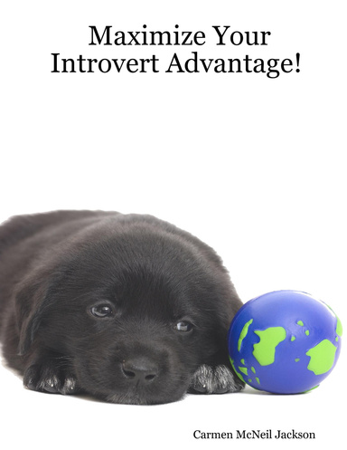 Maximize Your Introvert Advantage!