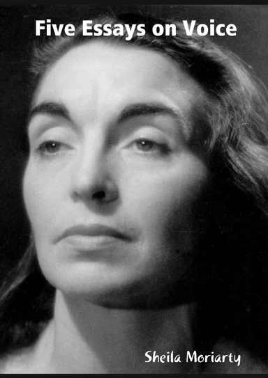 Five Essays on Voice