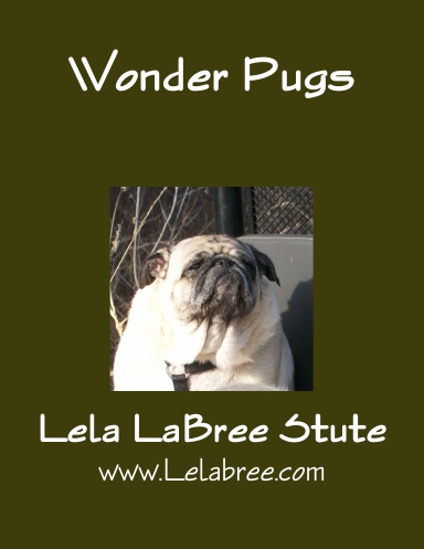 Wonder Pugs