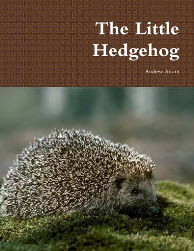 The Little Hedgehog