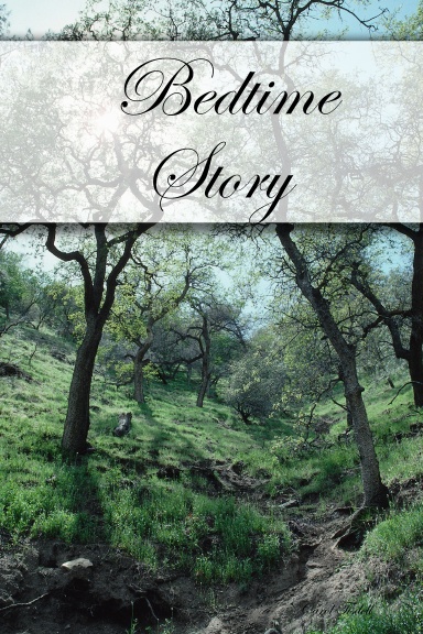 Bedtime Story
