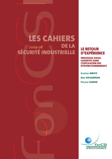 Le retour d'expérience : processus socio-cognitifs dans l'explication des dysfonctionnements - Edition couleur