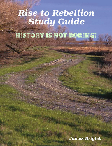 Rise to Rebellion Study Guide