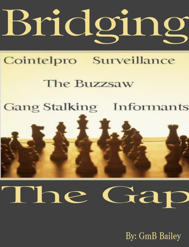 Bridging The Gap