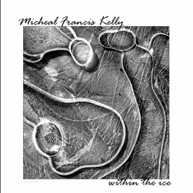 Within the ice second printing