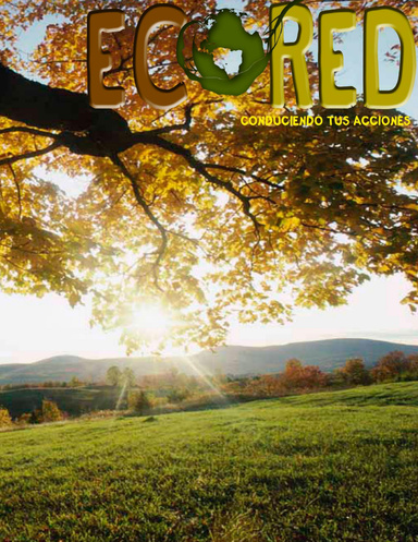 Ecored 10