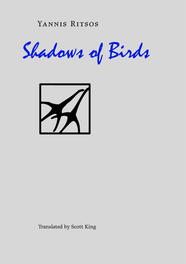 Shadows of Birds