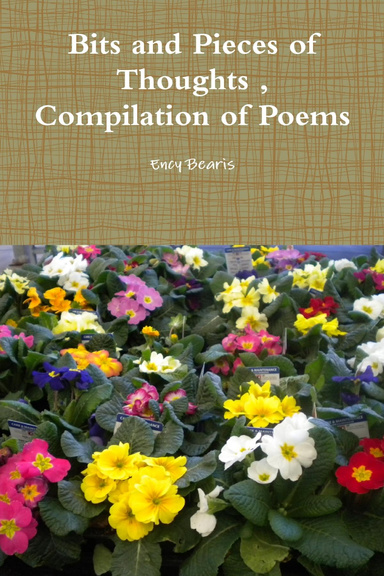 Bits and Pieces of Thoughts , Compilation of Poems