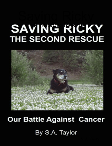 Saving Ricky: The Second Rescue