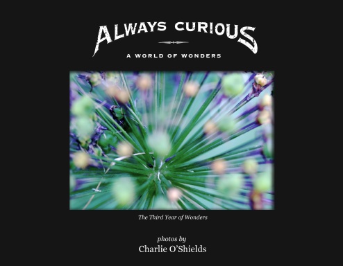 Always Curious - The Third Year of Wonders