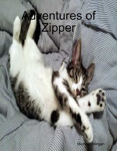 Adventures of Zipper