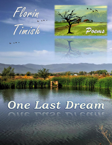 One Last Dream