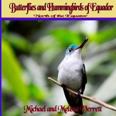 Butterflies and Hummingbirds of Ecuador