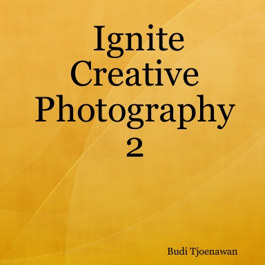 Ignite Creative Photography 2