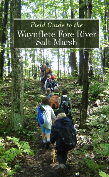 Field Guide to the Waynflete Fore River Salt Marsh
