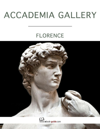 Accademia Gallery, Florence - An Ebook Guide