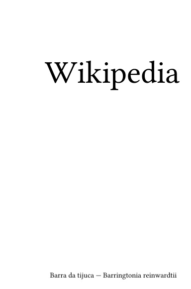 Volume 1024, Barra da tijuca --- Barringtonia reinwardtii