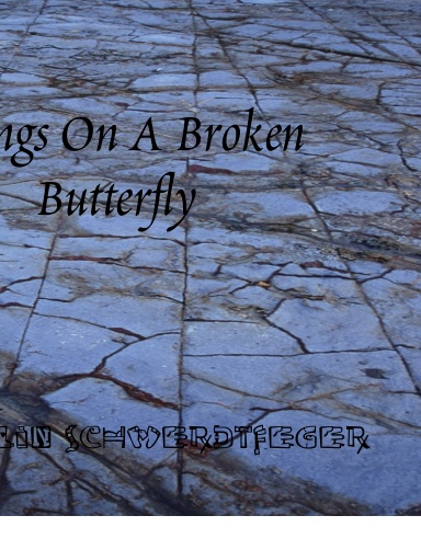 Wings On A Broken Butterfly
