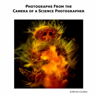Photographs through the camera of a Science Photographer