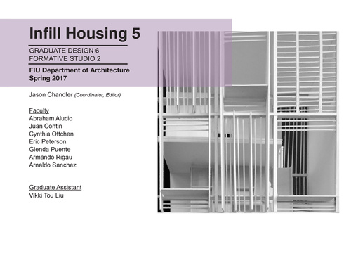 Infill Housing 5