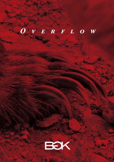 Overflow