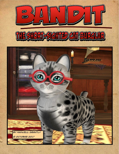 Bandit the Short-Sighted Cat Burglar