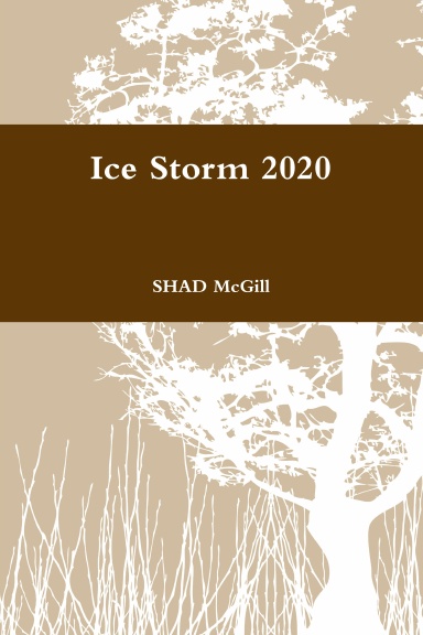Ice Storm 2020