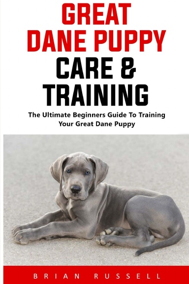 Great Dane Puppy Care & Training