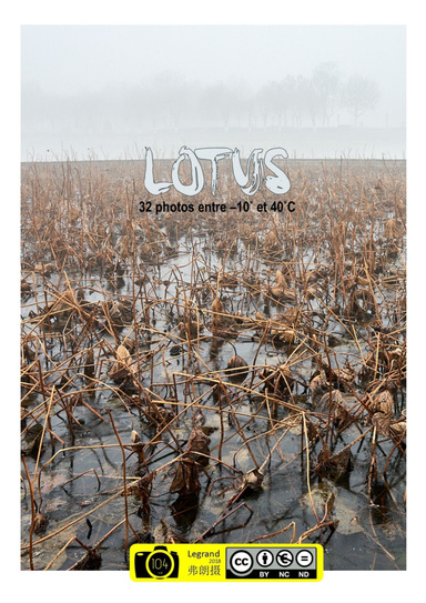 Lotus - 32 verticales