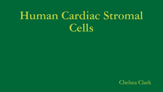 Human Cardiac Stromal Cells