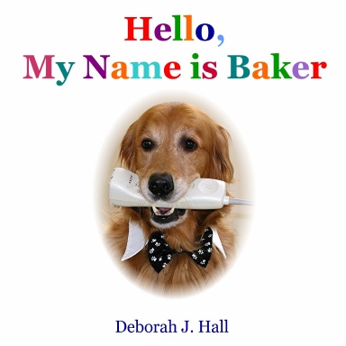 Hello, My Name is Baker