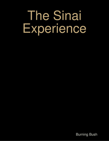 The Sinai Experience