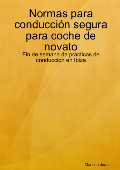 Normas para conducción segura para coche de novato