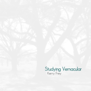 Studying Vernacular