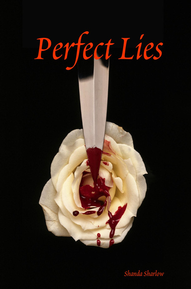Perfect Lies