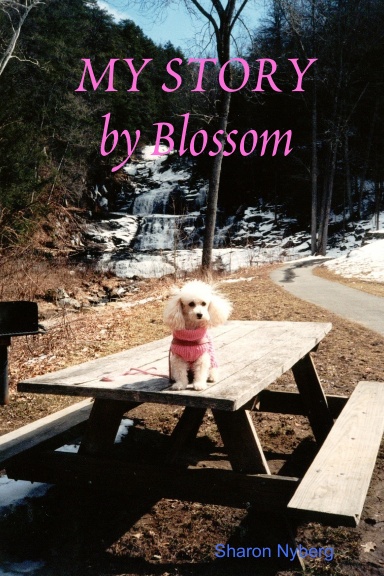 MY STORY by Blossom