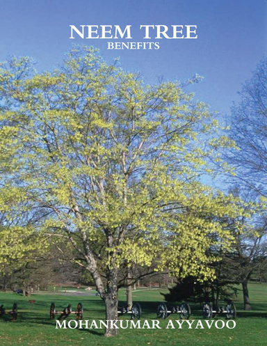 வேம்பு மரம் - Neem Tree