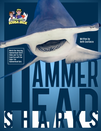 Hammerhead Sharks
