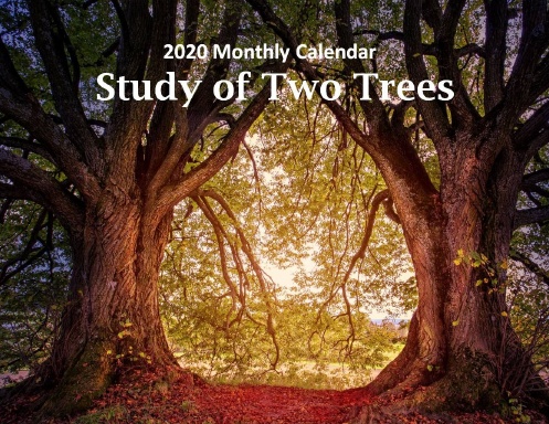2020 Monthly Calendar  "Study of Two Trees"