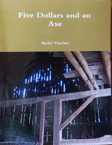 Five Dollars and an Axe