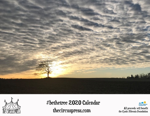 2020 #bethetree Calendar