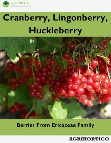 Cranberry, Lingonberry and Huckleberry: Berries from Ericaceae Family