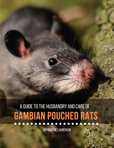 Gambian Pouched Rats : A guide to their husbandry and care