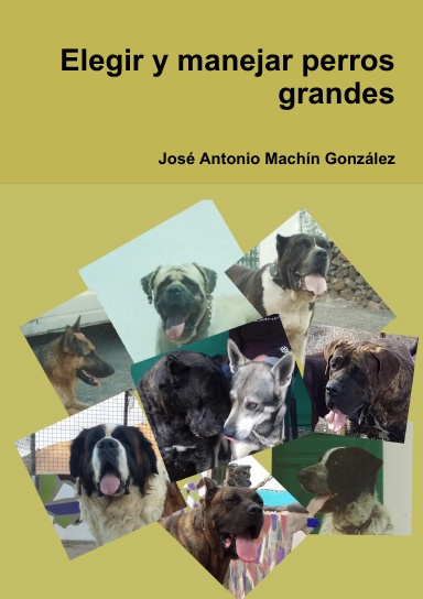 Elegir y manejar perros grandes
