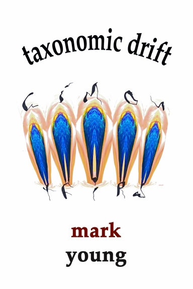taxonomic drift